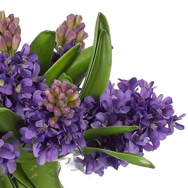 Natural Decorations Inc